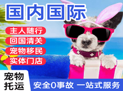 栎社机场快运国际宠物托运 【国